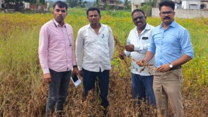 Crop Damage Survey: ई-पिक पाहणी केली का? खंडाळा तालुक्यात प्रशासनाकडून नुकसानीची पाहणी सुरू