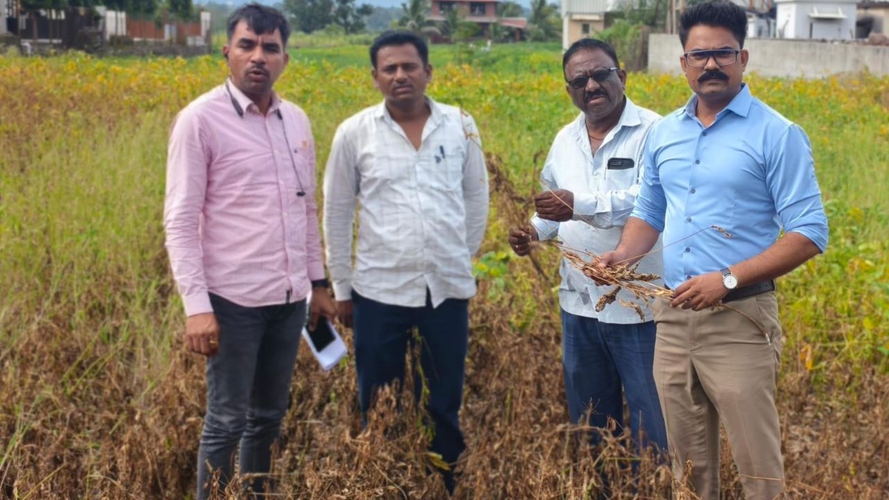 Crop Damage Survey: ई-पिक पाहणी केली का? खंडाळा तालुक्यात प्रशासनाकडून नुकसानीची पाहणी सुरू