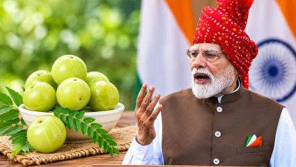 Narendra Modi Man ki Baat : ‘मन की बात’मध्ये केला आवळ्याचा उल्लेख; रोज किती आवळे खावेत? डॉक्टरांनी सांगितलं महत्त्वाचं कारण