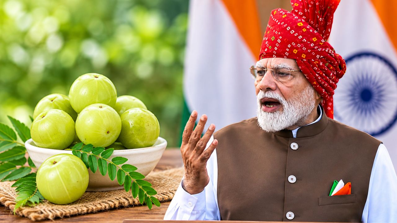 Narendra Modi Man ki Baat : ‘मन की बात’मध्ये केला आवळ्याचा उल्लेख; रोज किती आवळे खावेत? डॉक्टरांनी सांगितलं महत्त्वाचं कारण