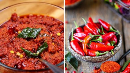 Red Chili Thecha : हिरव्या नाही यावेळी लाल मिरच्यांपासून बनवा झणझणीत ठेचा, रेसिपी नोट करा