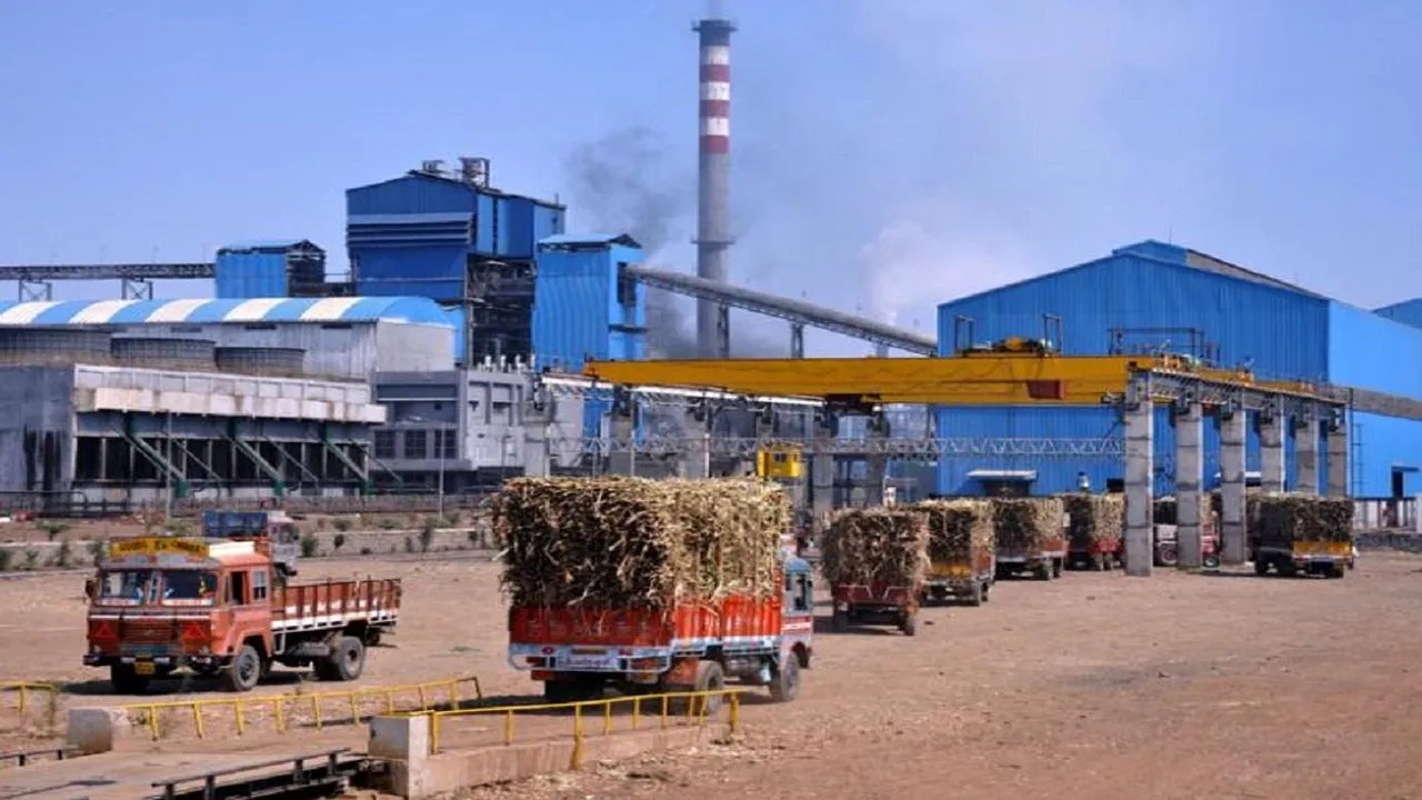 साखर आयुक्तालयाचा सहकारी साखर कारखान्यांना दणका; केवळ ऊस पुरवठ्यावर सभासदत्व देता येणार नाही