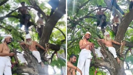 Solapur News: ऊस बिलासाठी शेतकऱ्यांचा अनोखा एल्गार; झाडावर चढून अर्धनग्न आंदोलन, अडीच कोटींची थकबाकी
