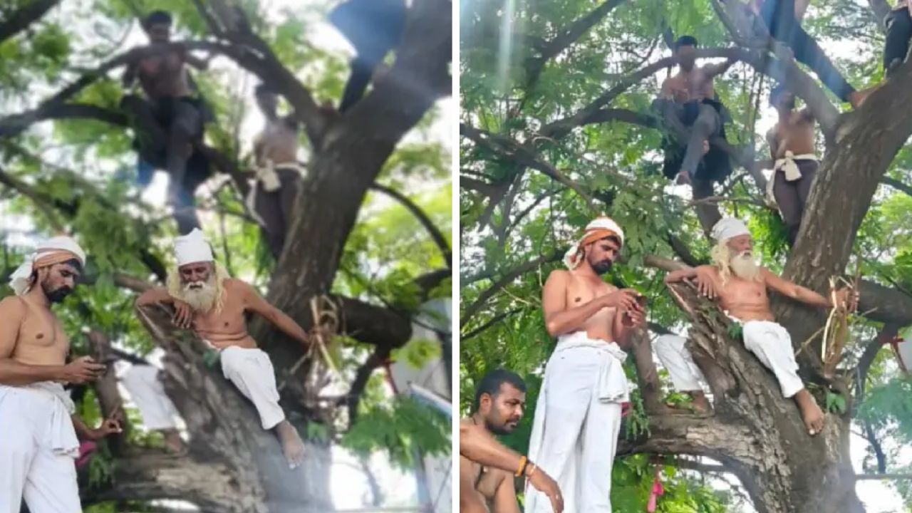 Solapur News: ऊस बिलासाठी शेतकऱ्यांचा अनोखा एल्गार; झाडावर चढून अर्धनग्न आंदोलन, अडीच कोटींची थकबाकी