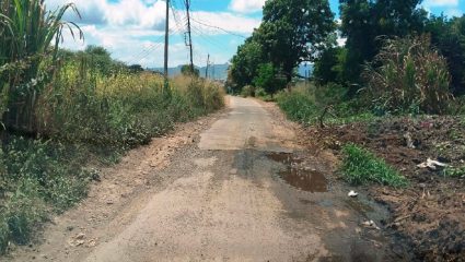 सोनोरीत रस्त्याला २० लाख खर्च तरीही खड्डेच; बांधकाम अभियंत्यावर कारवाईची ग्रामस्थांची मागणी
