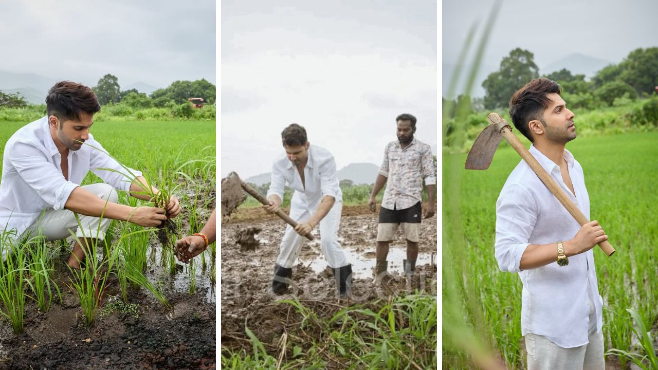 Varun Dhawan Farm: भात शेती करताना दिसला वरुण धवन; स्वतःच्या शेतात राबतानाचे फोटो व्हायरल, नेटकऱ्यांच्या भन्नाट कमेंट्स