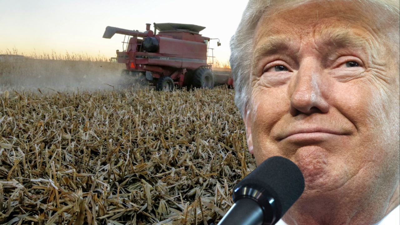 Donald Trump US Farmers Crisis : ट्रम्पच्या धोरणांना अमेरिकन शेतकरीही त्रस्त! खते आणि डिझेलचे भाव 67% नी वाढले