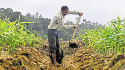 Farmer Loan Waiver : शेतकऱ्यांनो, कर्जमाफीची तिसरी यादी जाहीर! ‘इतक्या’ शेतकऱ्यांचा समावेश; तुमचंही नाव असेल तर लगेच करा ‘हे’ काम