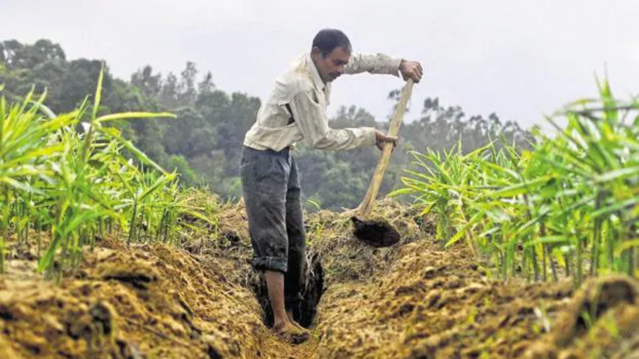 Farmer Loan Waiver : शेतकऱ्यांनो, कर्जमाफीची तिसरी यादी जाहीर! ‘इतक्या’ शेतकऱ्यांचा समावेश; तुमचंही नाव असेल तर लगेच करा ‘हे’ काम