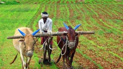 Crop Loan Waiver Fourth List : मोठी बातमी! दिवाळीपूर्वी शेतकऱ्यांसाठी खूशखबर! 4 लाख 15 हजार शेतकऱ्यांना कर्जमुक्ती
