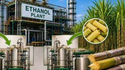 Sugarcane Ethanol : काय सांगता? उसापासून इथेनॉल निर्मितीला ब्रेक? सरकारी तेल कंपन्यांचा ‘हा’ थेट निर्णय, साखर उद्योगात खळबळ