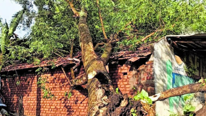 Palghar Storm Rain : पालघरला वादळी पावसाचा मोठा फटका! घरांची पडझड, झाडे अन् वीजखांब कोसळले; संसार उघड्यावर