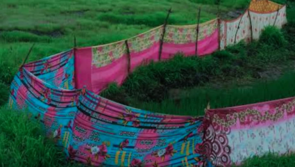 Antyodaya Saree Scheme : अंत्योदय योजनेतील साड्यांचा निकृष्ट दर्जा; महिलांनी नेसण्याऐवजी कुंपणाला लावल्या