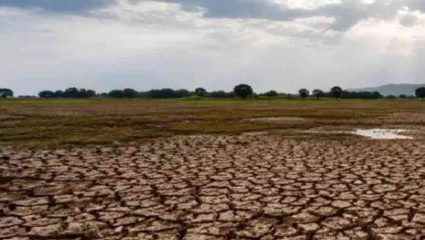 Wardha News : जिल्ह्यावर दुष्काळाचे ढग गडद, आठही तालुके दुष्काळी यादीमध्ये, आगामी काळात पाणीटंचाई वाढण्याची चिंता