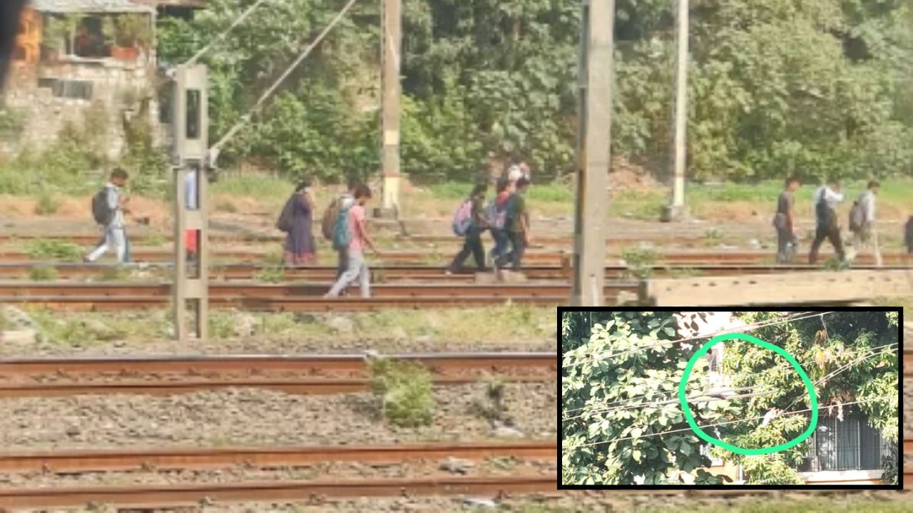Central Railway: अरे देवा! आठवड्याच्या पहिल्याच दिवशी लोकलला ब्रेक, ठाणे-मुलुंड आणि कांजूरमार्ग-भांडुपदरम्यान सिग्नल बिघाड