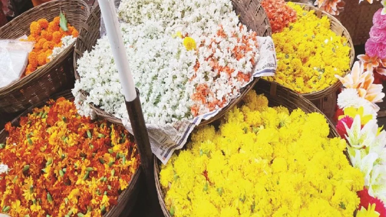Dadar Flower Market : दसऱ्याच्या पार्श्वभूमीवर फुलांच्या बाजारात झेंडू आणि शेवंतीच्या फुलांची मागणी वाढली