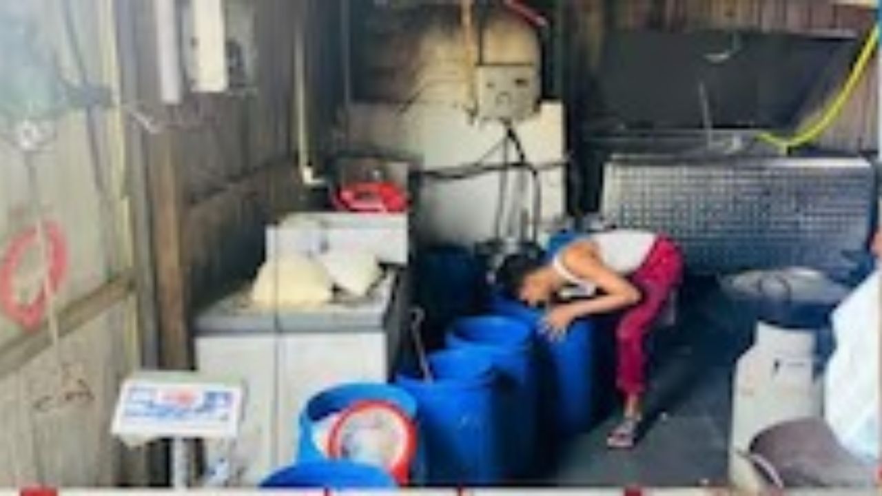 FDA Hits Vaijapur: वैजापूरमध्ये FDAचा दणका! नॅचरल डेअरीचा परवाना निलंबित; पनीर-तुपाचा साठा नष्ट