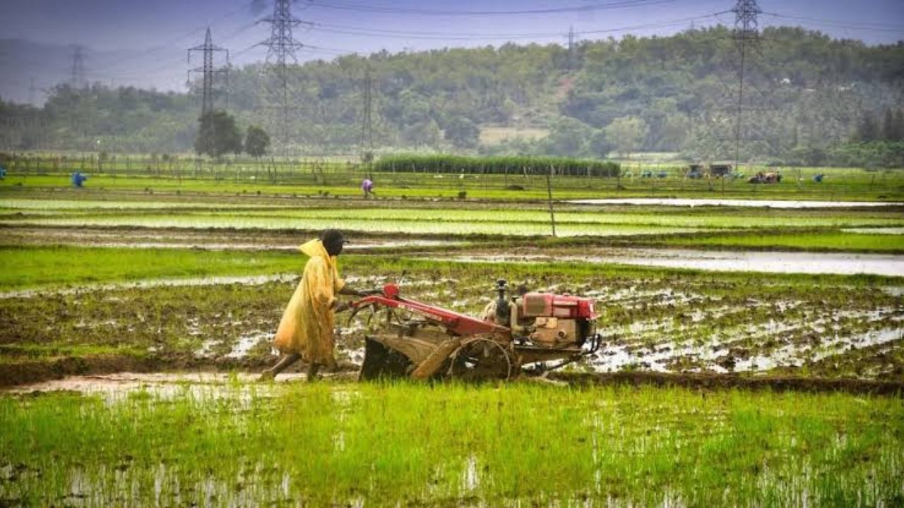 Farmer Tour 2026 : महाराष्ट्रातील 180 शेतकऱ्यांना मिळणार परदेश दौऱ्याची संधी ! 4 कोटींचा खर्च, कृषिविभागाचा मोठा निर्णय