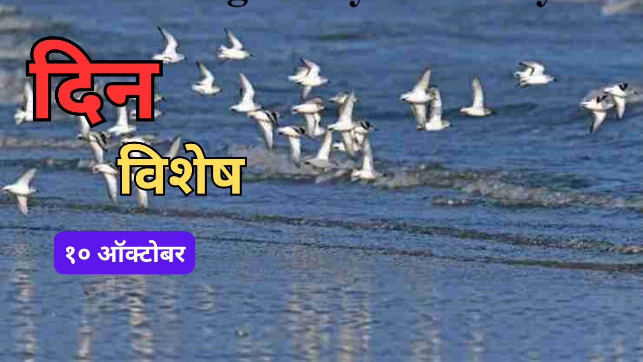 Dinvishesh 12 October: आज जागतिक स्थलांतरित पक्षी दिवस; जाणून घ्या १२ ऑक्टोबरचा इतिहास..