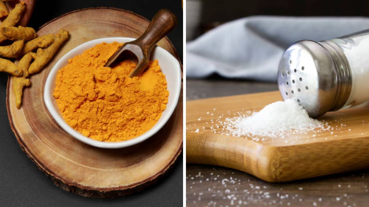 Kitchen Vastu Tips: स्वयंपाकघरातील या वस्तू संपण्यापूर्वीच भरा, घरातील सुख समृद्धी टिकविण्यासाठी वास्तू टिप्स
