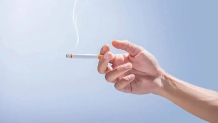 Lifestyle News: सिगारेट ओढता? मग रक्तवाहिन्यांवरही होऊ शकतो ‘हा’ मोठा परिणाम; तज्ज्ञांचा इशारा