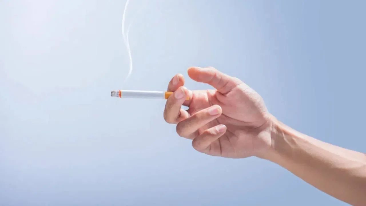 Lifestyle News: सिगारेट ओढता? मग रक्तवाहिन्यांवरही होऊ शकतो ‘हा’ मोठा परिणाम; तज्ज्ञांचा इशारा