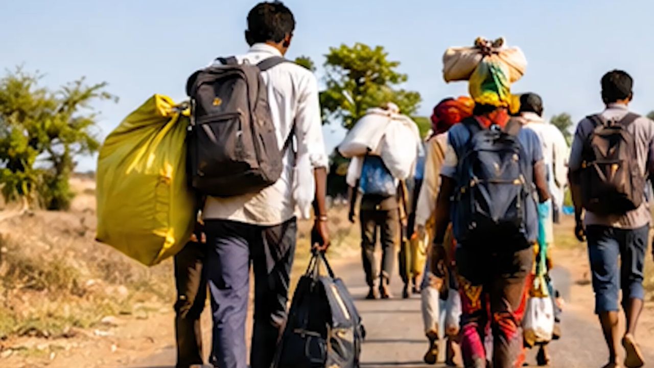 Maharashtra Drought: दिवाळीआधीच हजारो घरांना टाळं! दुष्काळामुळे शेतमजुरांवर स्थलांतराची वेळ
