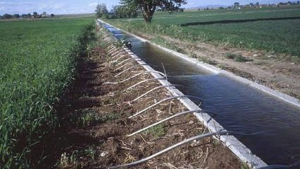 Jallakshmi Irrigation Scheme: जललक्ष्मी सिंचन योजनेची गळती यंदा तरी थांबणार का? पाटबंधारे विभागाच्या दुर्लक्षामुळे वाईत पाणी वाया!