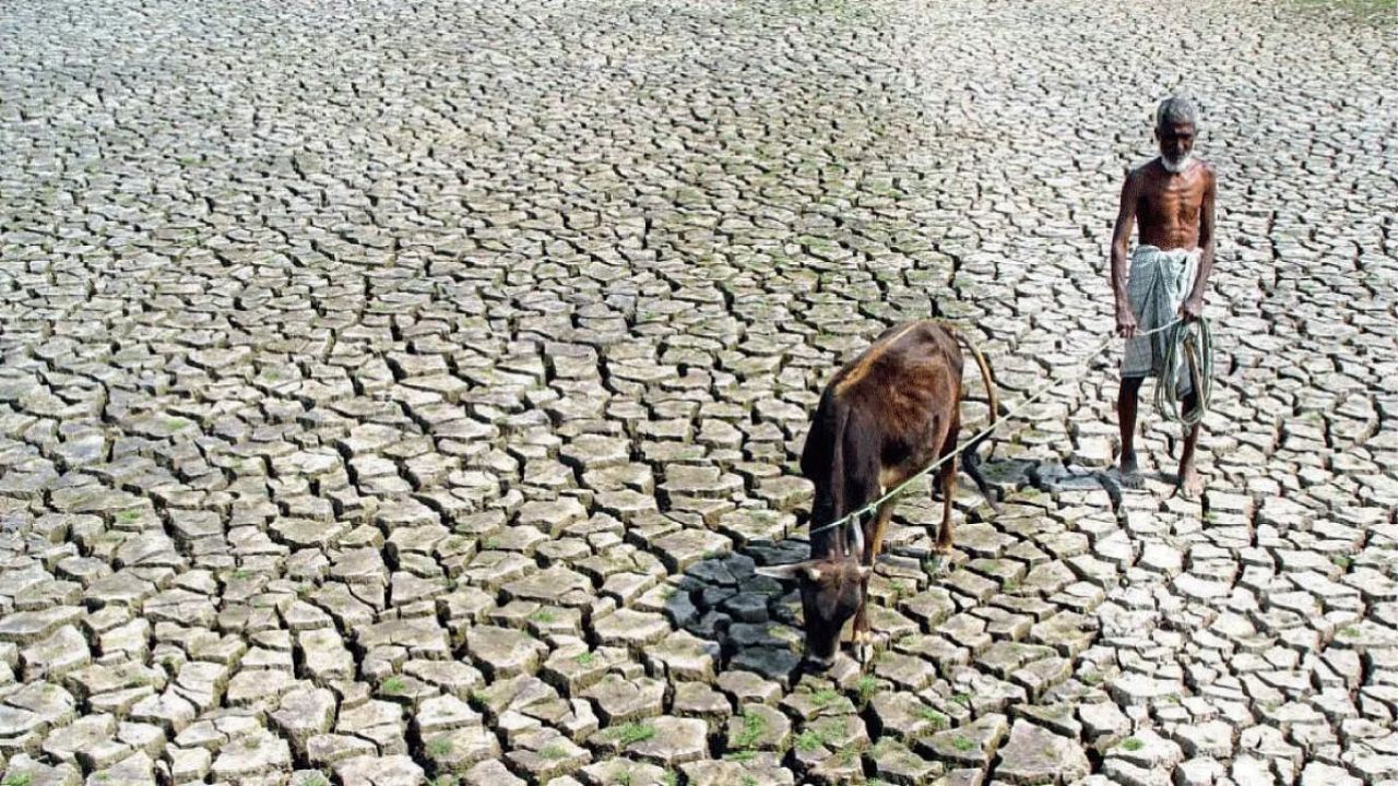 Pune Drought: पुणे जिल्ह्यात दसऱ्यावर दुष्काळाचे सावट! १३ पैकी १० तालुके दुष्काळग्रस्त
