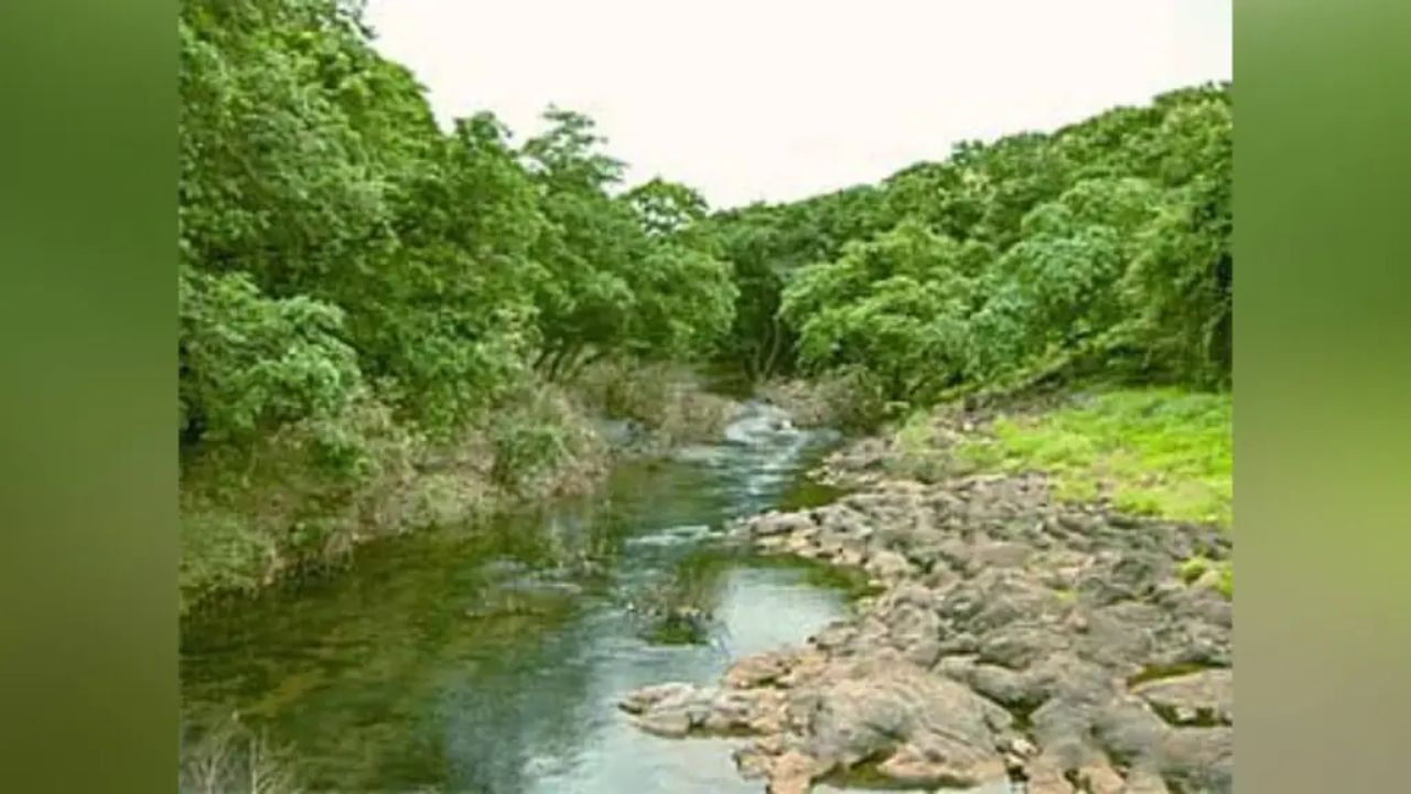 Mumbai forest firing: मुंबईच्या वेशीवर चेना जंगलात गोळीबार! एकाचा मृत्यू, दोघे जखमी; मृतदेहावर शवविच्छेदनाविनाच अंत्यसंस्कार?