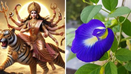 Navratri: नवरात्रीत घरात ‘ही’ रोपं लावणे मानले जाते शुभ; देवीच्या आशीर्वादाने अडचणी होतील दूर