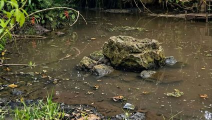 Raigad News: पाताळगंगा नदी प्रदूषणाचा प्रश्न पुन्हा ऐरणीवर; उद्योगांच्या सांडपाण्याची शास्त्रीय तपासणी करण्याची मागणी