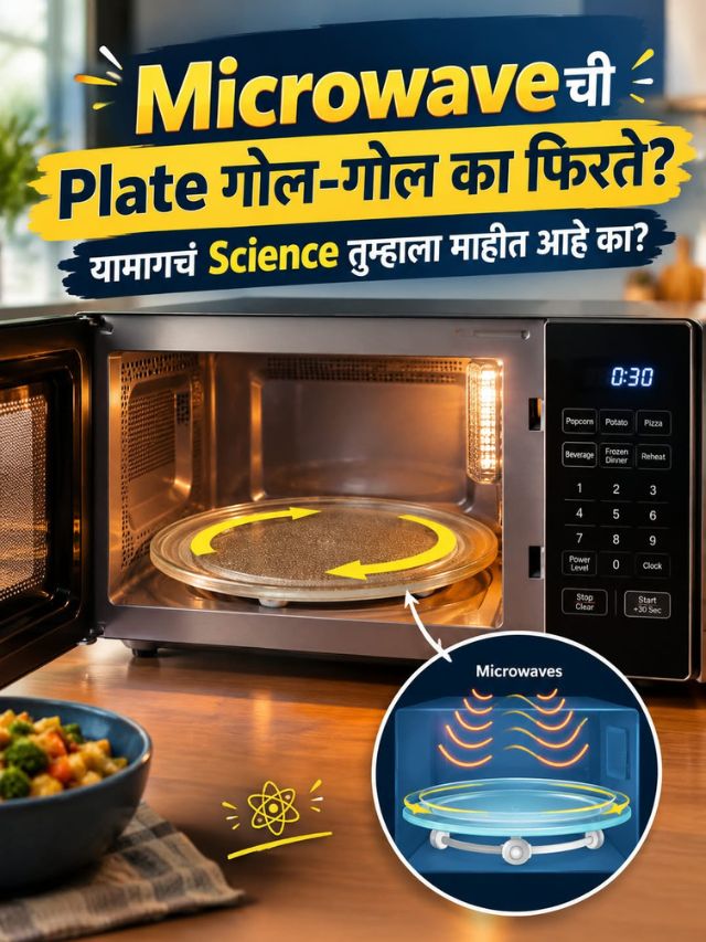 Microwaveची Plate गोल-गोल का फिरते? यामागचं Science तुम्हाला माहीत आहे का?