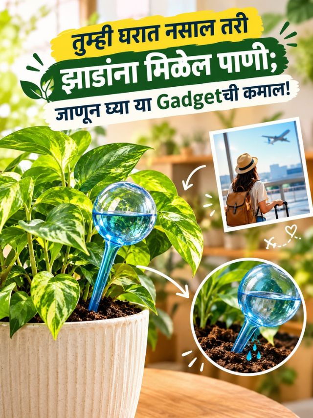 तुम्ही घरात नसाल तरी झाडांना मिळेल पाणी; जाणून घ्या या Gadgetची कमाल!
