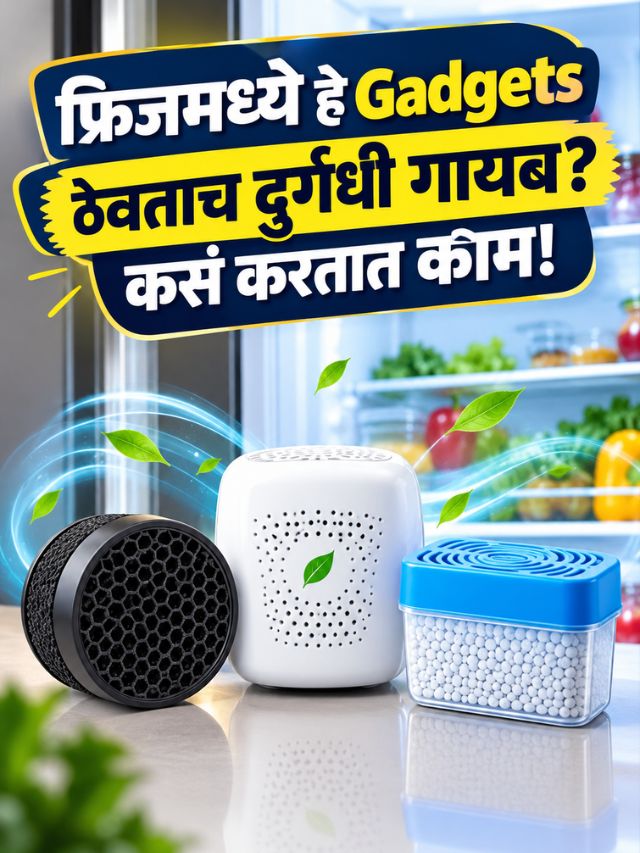 फ्रिजमध्ये हे Gadgets ठेवताच दुर्गंधी गायब? कसं करतात काम!