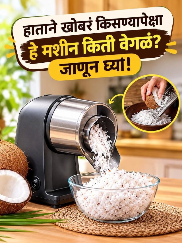 खोबरं किसण्याचं कष्टाचं काम आता सोपं! Electric Coconut Scraper कसं करतं काम?
