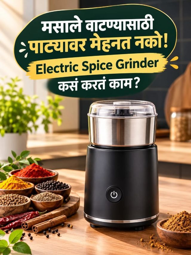मसाले वाटण्यासाठी पाट्यावर मेहनत नको! Electric Spice Grinder कसं करतं काम?