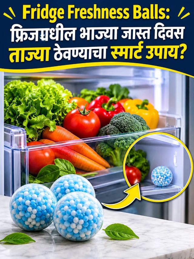 Fridge Freshness Balls: फ्रिजमधील भाज्या जास्त दिवस ताज्या ठेवण्याचा स्मार्ट उपाय?