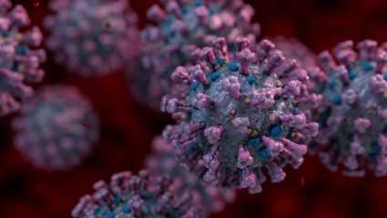 Shamonda Virus: युरोपमध्ये नव्या विषाणूची दहशत! प्राण्यांमधून मानवामध्ये पसरल्याने फ्रान्समध्ये एकाचा मृत्यू; आरोग्य यंत्रणा सतर्क