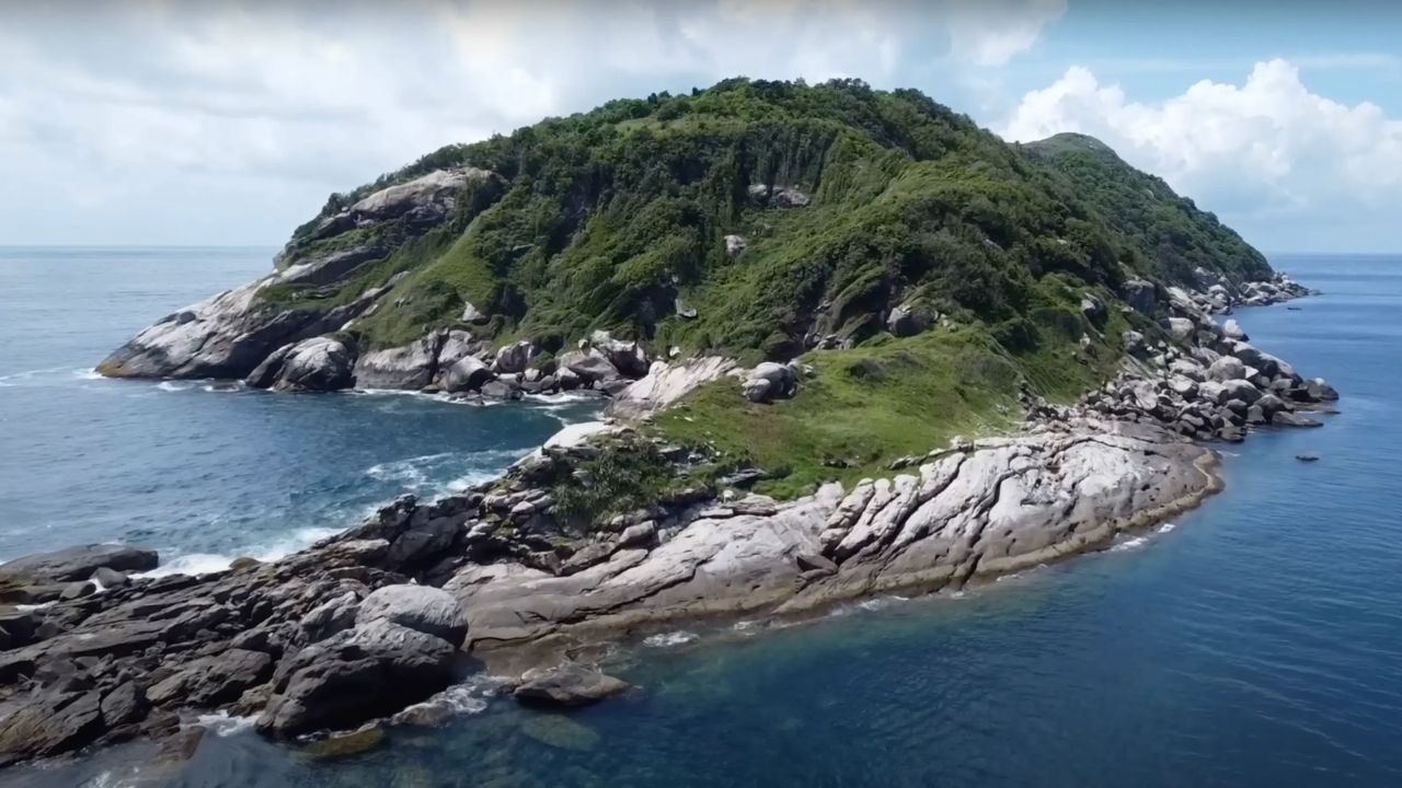 Snake Island : समुद्राच्या मध्यभागी मृत्यूचं बेट! समुद्री चाच्यांच्या खजिन्याचे रक्षण करता चक्क हजारो विषारी साप; वाचा थरारक कहाणी