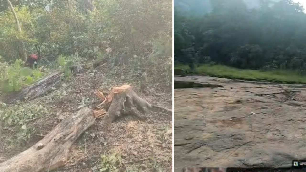 Torent Dam: टोरंट धरणाच्या बुडीत क्षेत्रात झाडांची कत्तल? वन अधिकारी कुठे आहेत; कर्जत पर्यावरण बचाव समितीचा सवाल