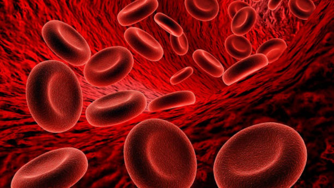 Health Update: रक्ताच्या एका थेंबामधून समजणार आता दोन आजार! दुर्गम भागांतही कमी खर्चात निदान आता शक्य