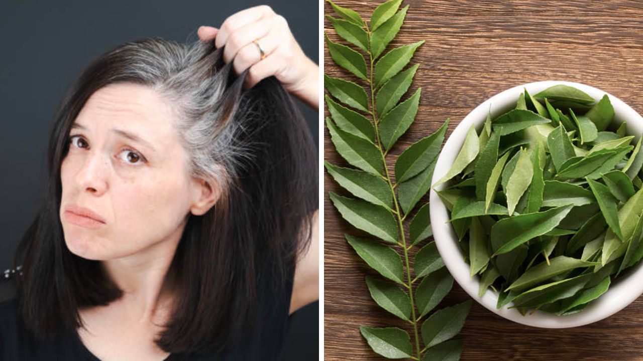 Hair Care Tips: महागडे हेअर डाय लावणे कायमचे जाल विसरून! ‘या’ पद्धतीने घरीच तयार करा कढीपत्त्याच्या पानांचा हेअर मास्क