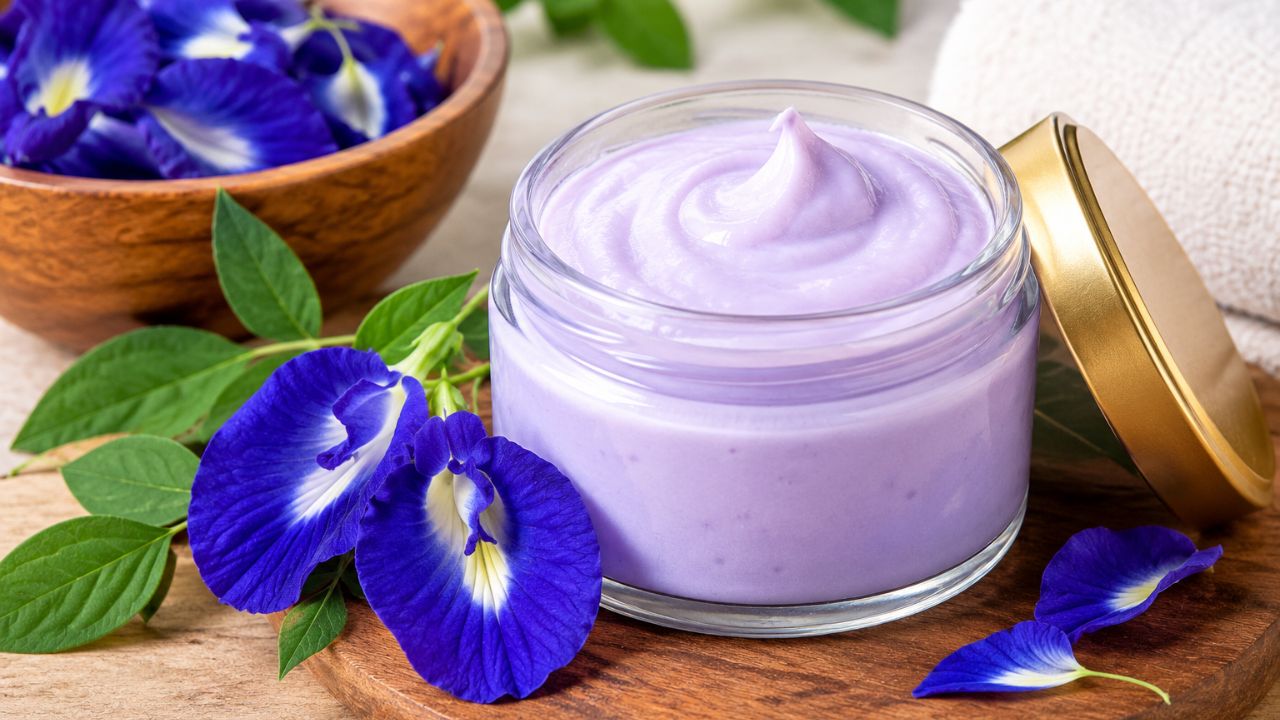 Skin Care: सैल त्वचा होईल टाईट! गोकर्णाच्या फुलांपासून घरीच तयार करा नाईट क्रीम, चेहऱ्यावरील काळे डाग- सुरकुत्या होतील गायब