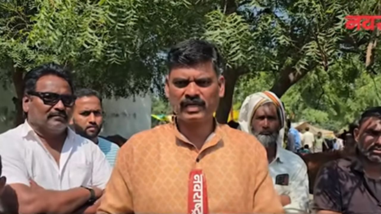 Buldhana News: बुलढाण्यात भीषण चारा टंचाई, शेतकऱ्यांवर गुरे बाजारात विकण्याची वेळ
