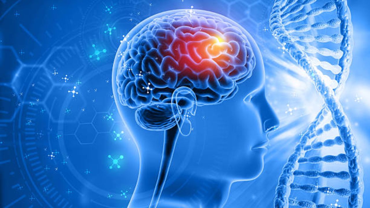 Brain Disease: अनेक वर्षे स्ट्रोक समजून चालू होते उपचार! मेंदूच्या दुर्मिळ आजारामुळे निदानातील त्रुटी उघड, जाणून घ्या सविस्तर