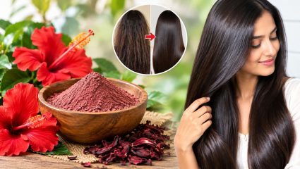 Hibiscus Flower Powder: केस कोरडे आणि निस्तेज झालेत? जास्वंद पावडरचा ‘या’ पद्धतीने करा वापर, केस होतील चमकदार