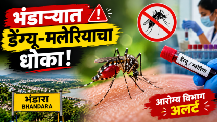 Bhandara News: डेंग्यू-मलेरियाबाबत आरोग्य विभाग ‘अलर्ट’!  यंदा डेंग्यूचे ७, हिवतापाचे ५ रुग्ण; दोन्ही आजारात मृत्यू निरंक