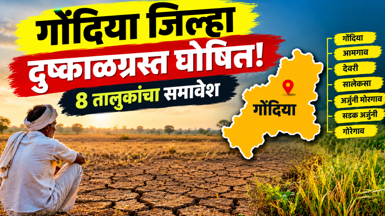 Gondiya News: गोंदिया जिल्हा दुष्काळग्रस्त घोषित! आमगाव, सालेकसा, देवरी, अर्जुनी मोरगाव व सडक अर्जुनीचा समावेश