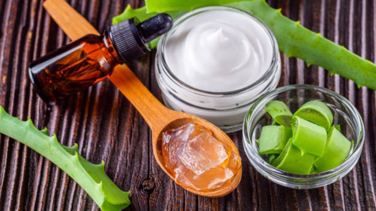 Aloe Vera Benefits: कोरफड लावताना केलेल्या ‘या’ चुकांमुळे होऊ शकते त्वचेचे गंभीर नुकसान, जाणून घ्या वापरण्याची योग्य पद्धत